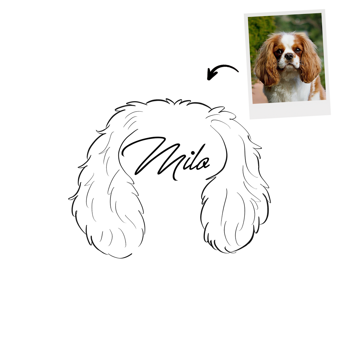 Custom Pet Ear Outline Drawing