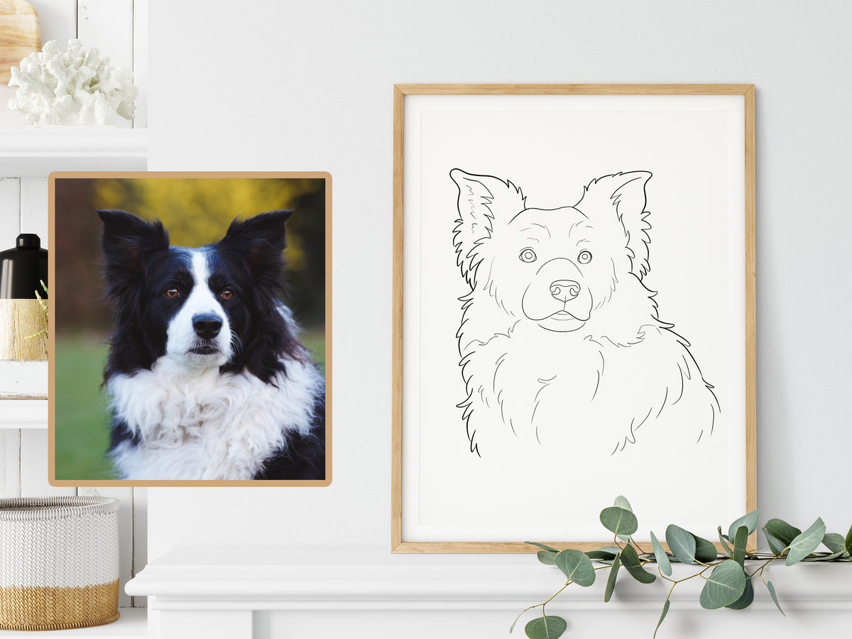 Custom Pet Outline Drawing
