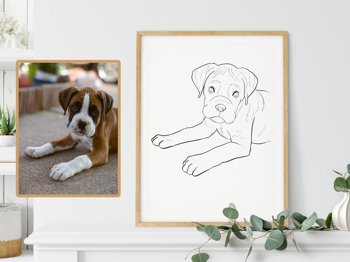 Custom Pet Outline Drawing