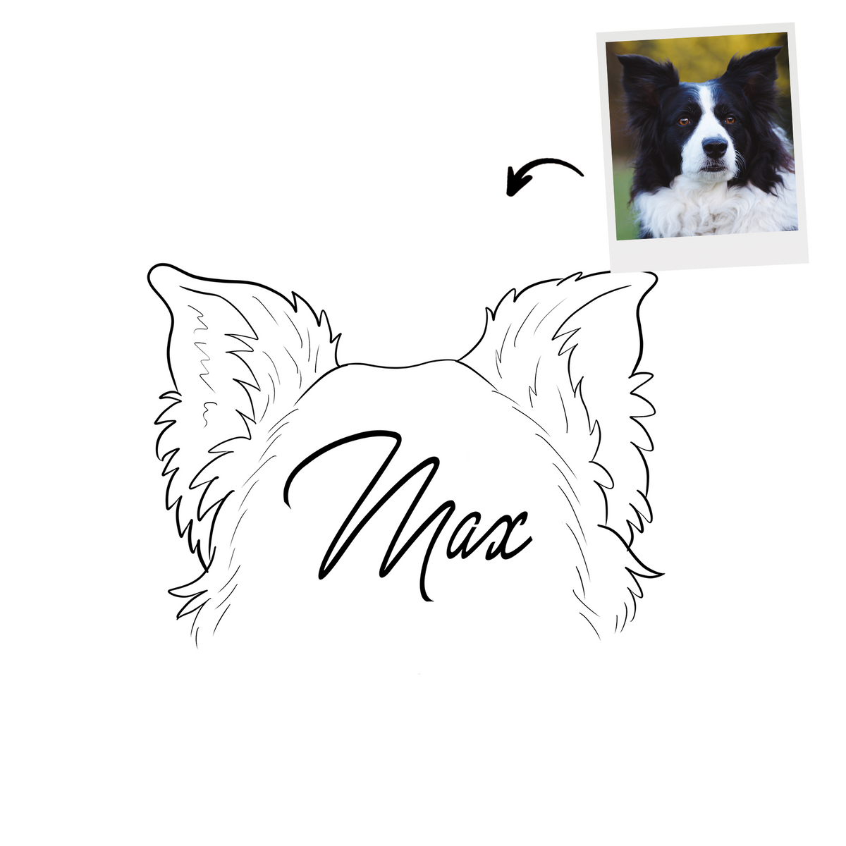 Custom Pet Ear Outline Drawing