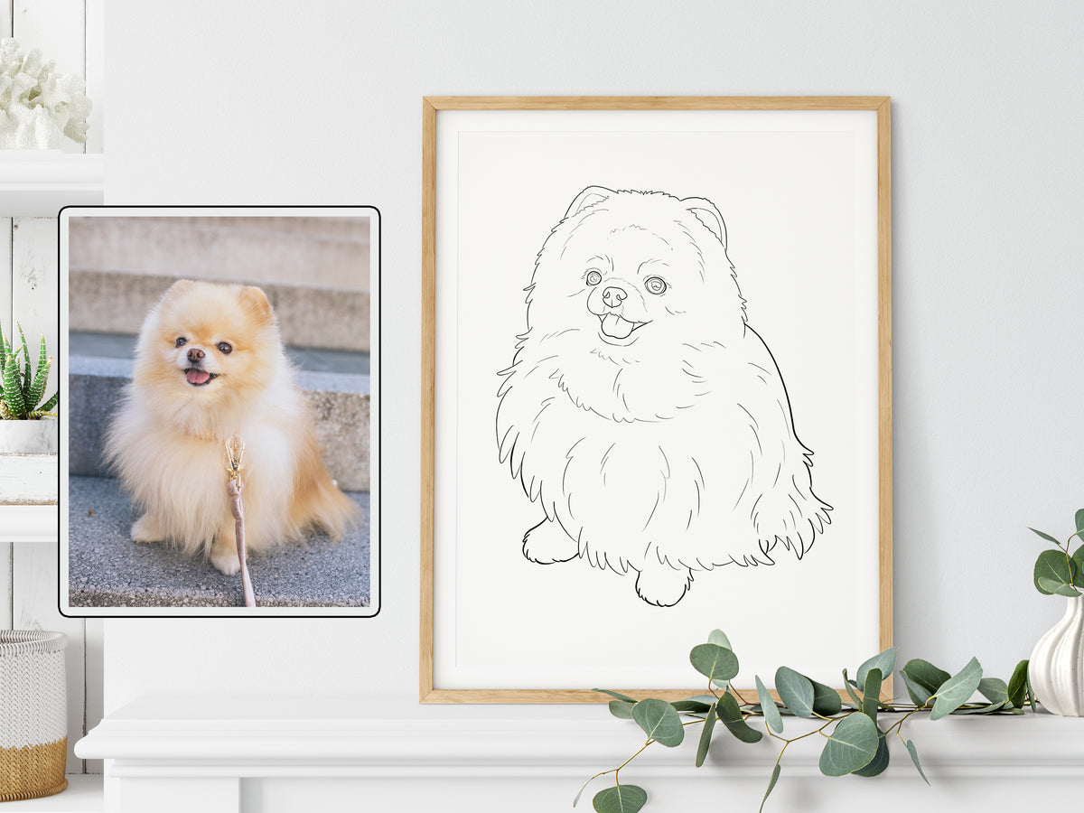Custom Pet Outline Drawing