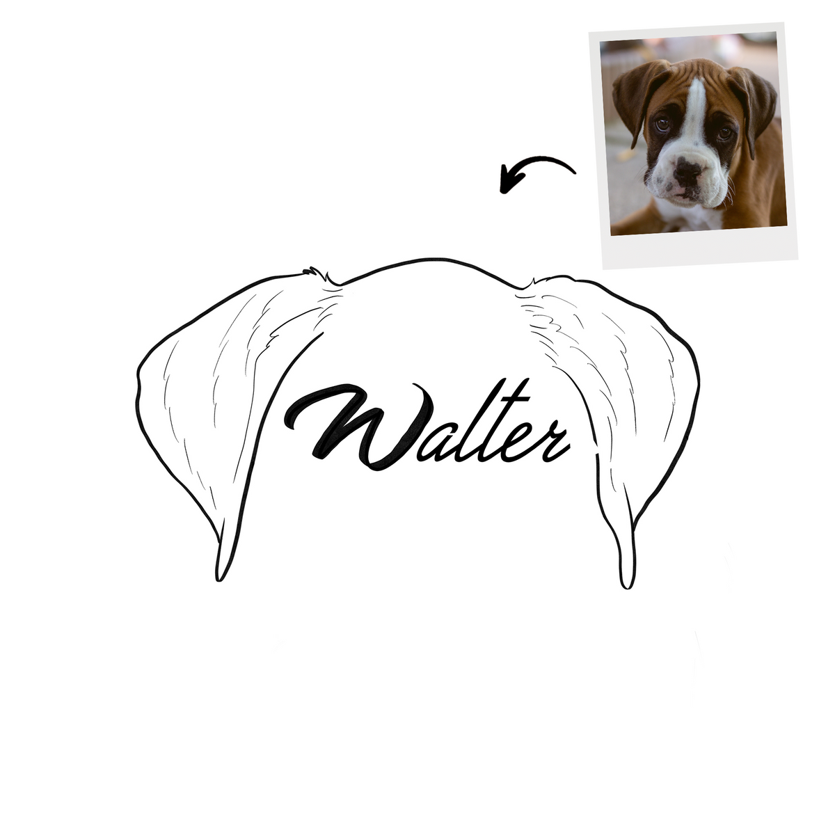 Custom Pet Ear Outline Drawing
