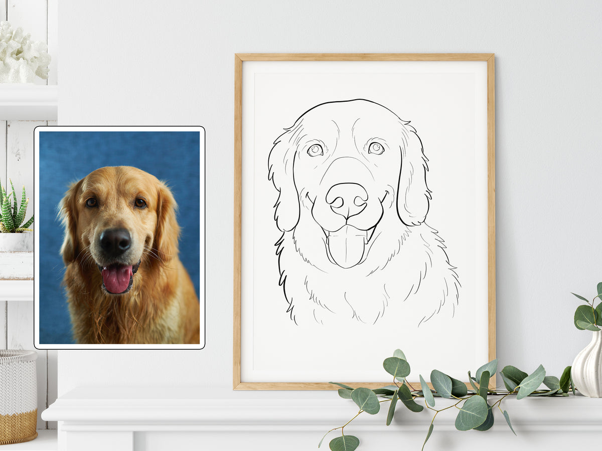 Custom Pet Outline Drawing