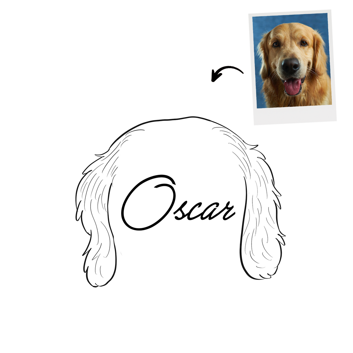 Custom Pet Ear Outline Drawing