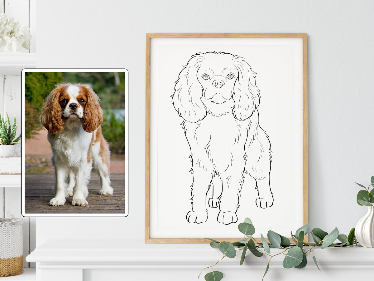 Custom Pet Outline Drawing