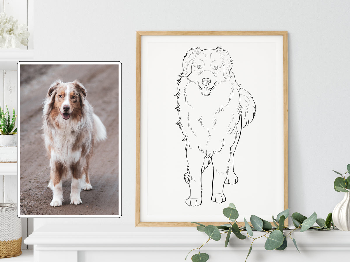 Custom Pet Outline Drawing
