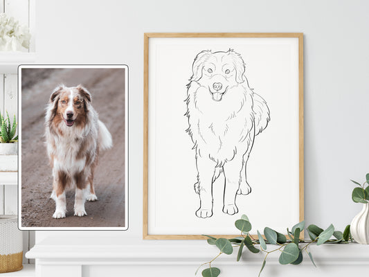 Custom Pet Outline Drawing